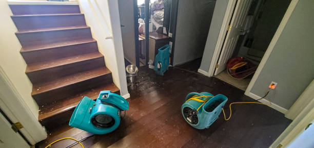 Best Water damage restoration near me  in Columbus, NC