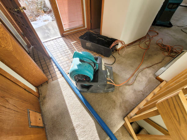 Best Local water damage restoration  in Columbus, NC