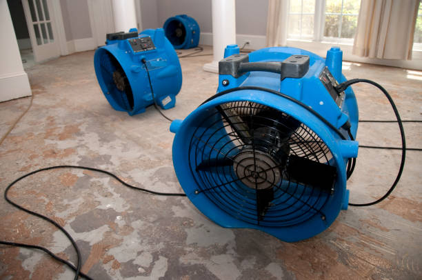 Best Water damage restoration near me  in Columbus, NC