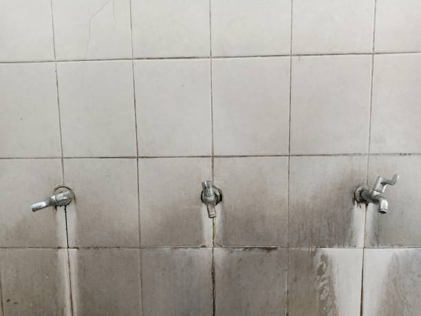 Best 24/7 water damage repair  in Columbus, NC