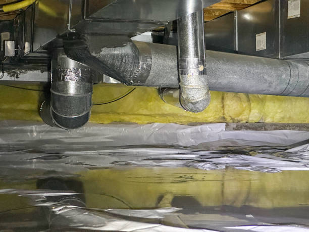 Best Flood restoration services  in Columbus, NC