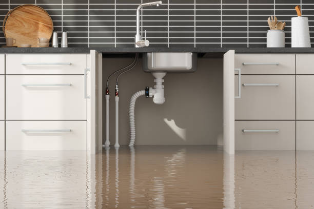 Best Water damage cleanup near me  in Columbus, NC