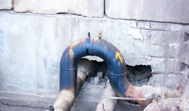 Best Flood damage cleanup  in Columbus, NC