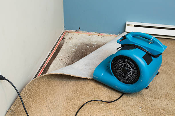 Best Water damage restoration near me  in Columbus, NC
